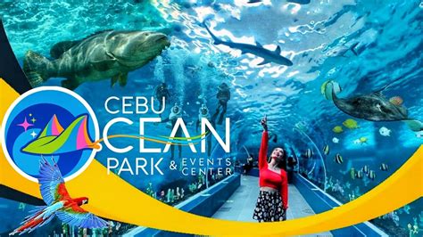 seaworld cebu|Cebu Ocean Park .